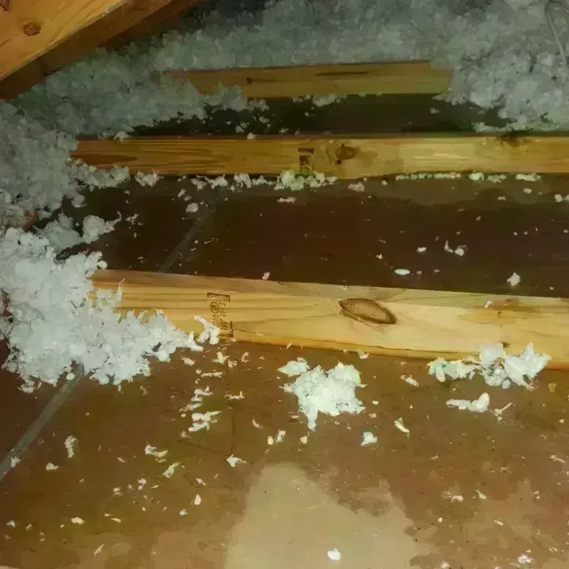 Attic Water Damage in Pontiac, IL