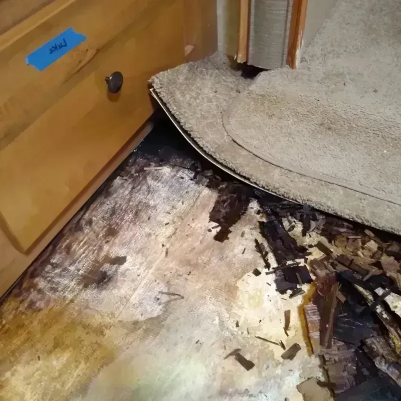 Wood Floor Water Damage in Pontiac, IL